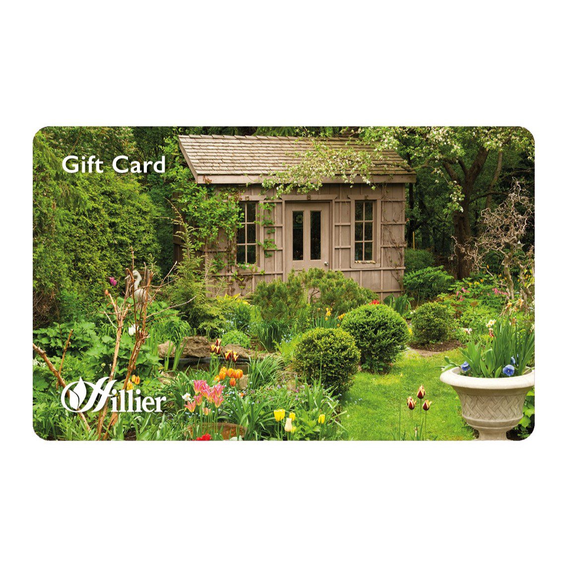 00251130 1 Gift Cards Potting Shed