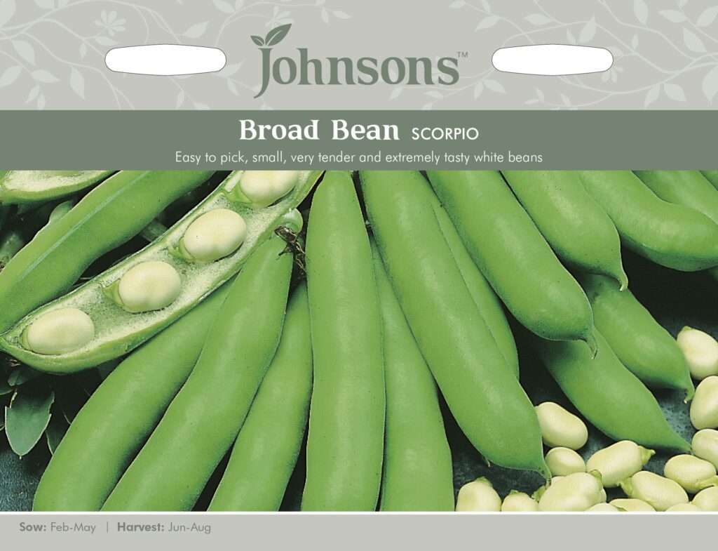 Johnsons Broad Bean Scorpio Seeds 5010931006489