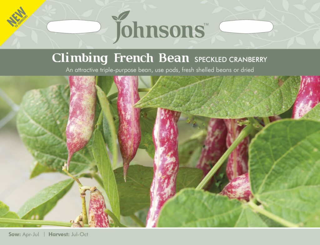 Johnsons Climbing French Bean Speckled Cranberry Seeds 5010931329496