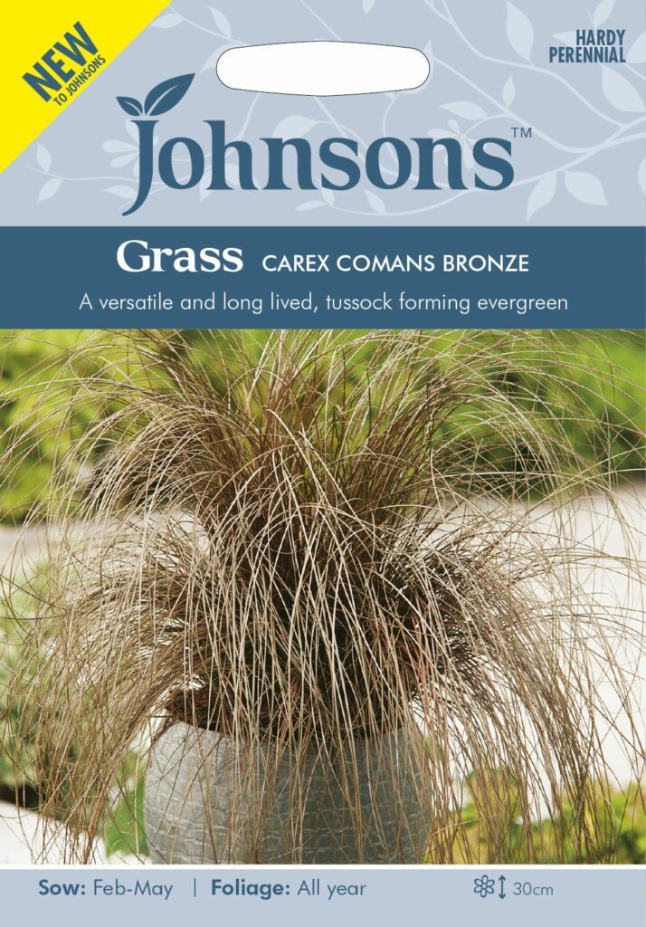 Johnsons Grass Carex Comans Bronze Seeds 5010931328307