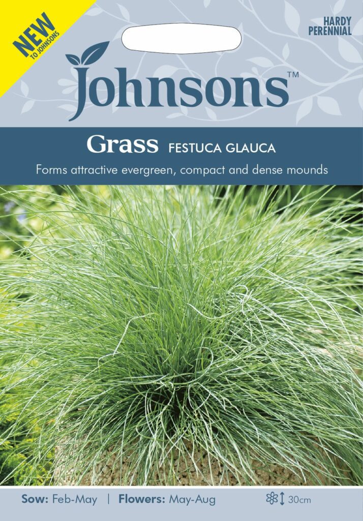 Johnsons Grass Festuca Glauca Seeds 5010931328314