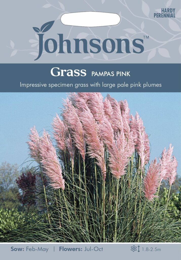 Johnsons Grass Pampas Pink Seeds 5010931029983