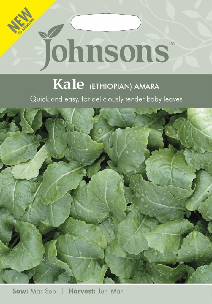 Johnsons Kale Ethiopian Amara Seeds 5010931329441