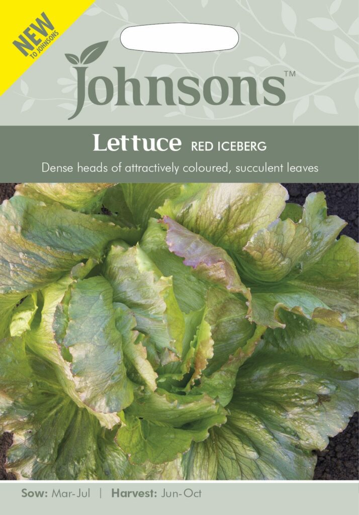 Johnsons Lettuce Red Iceberg Seeds 5010931329458