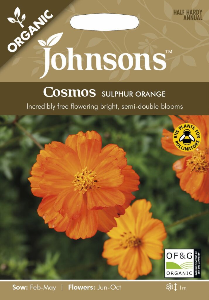 Johnsons Organic Cosmos Sulphur Orange Seeds 5010931328253