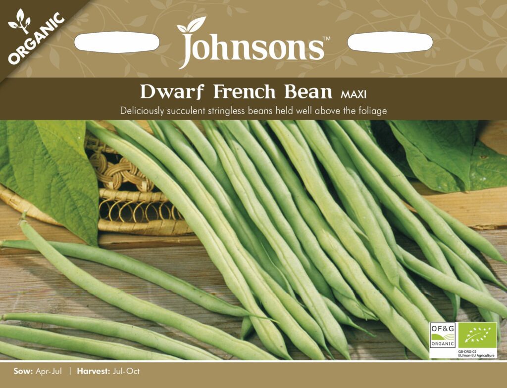 Johnsons Organic French Bean Maxi Seeds 5010931283804