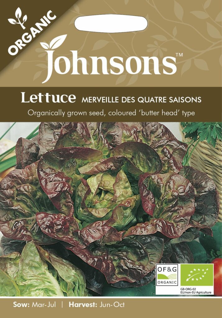 Johnsons Lettuce Merv Des Quatre Saisons Seeds 5010931101122