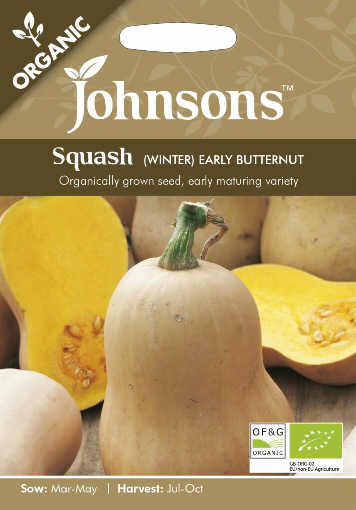 Johnsons Squash Early Butternut Seeds 5010931254934