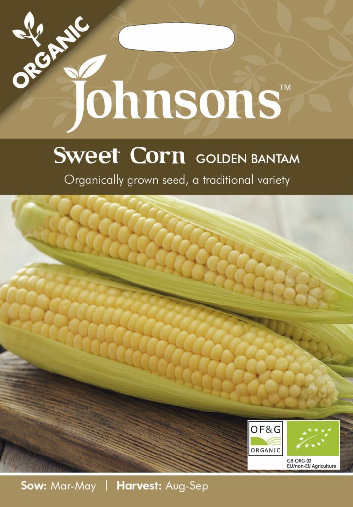 Johnsons Organic Sweet Corn Golden Bantam Seeds 5010931254941