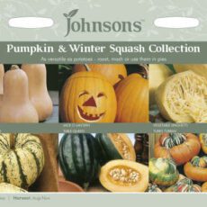 Johnsons Pumpkin & Squash Collection Seeds
