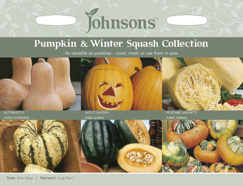 Johnsons Pumpkin & Squash Collection Seeds 5010931101566