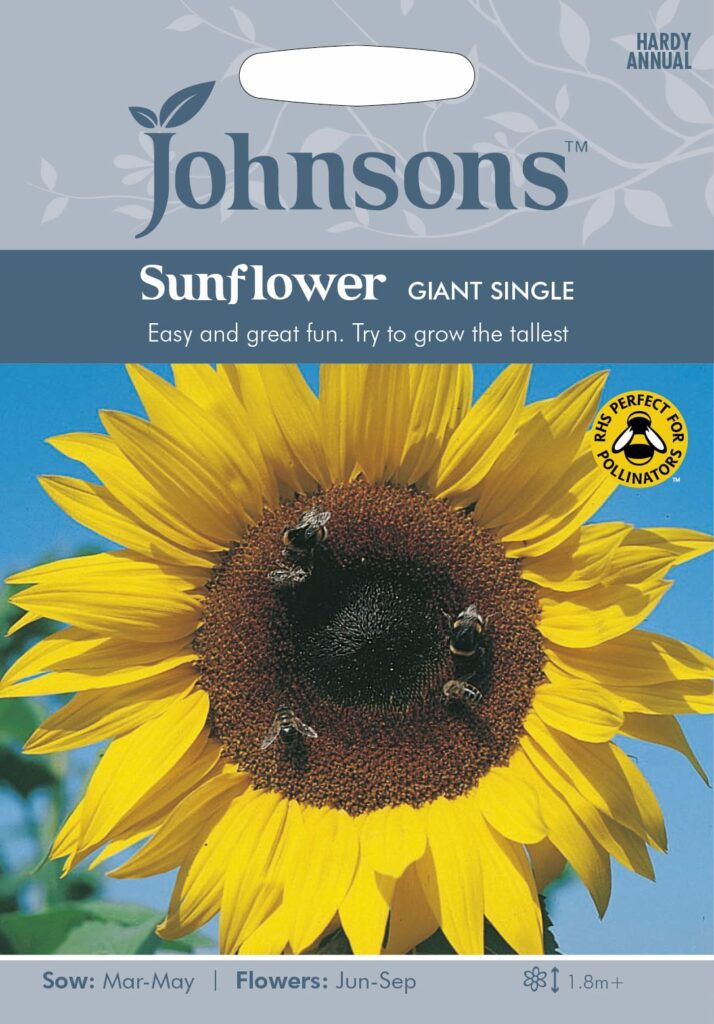 Johnsons Sunflower Giant Single Seeds 5010931114368