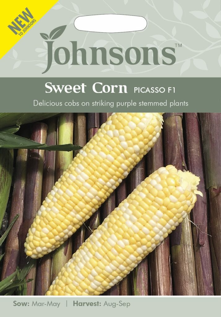 Johnsons Sweet Corn Picasso F1 Seeds 5010931329472