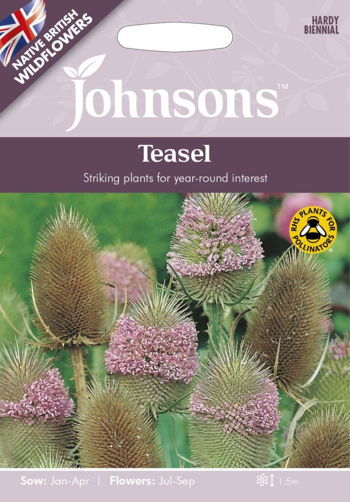 Johnsons Teasel Seeds 5010931328130