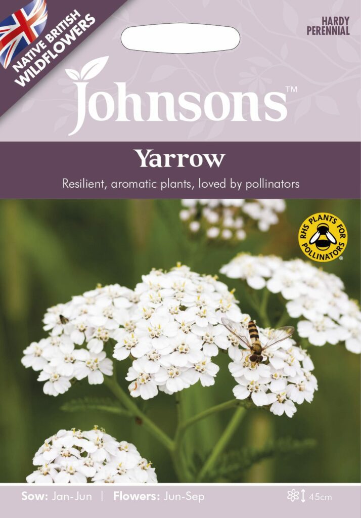 Johnsons Yarrow Seeds 5010931328147