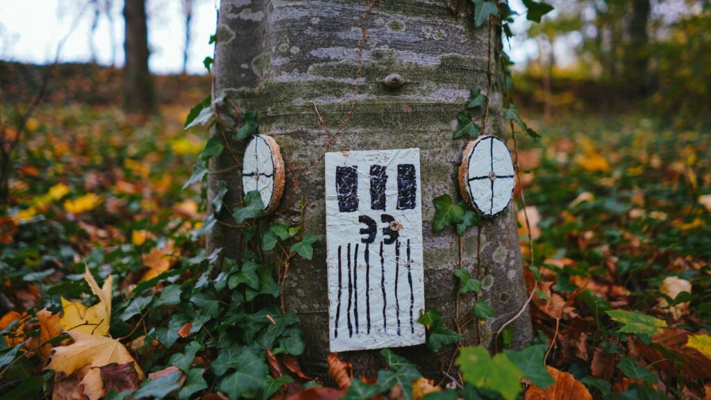 a fairy door and windows on a tree trunk