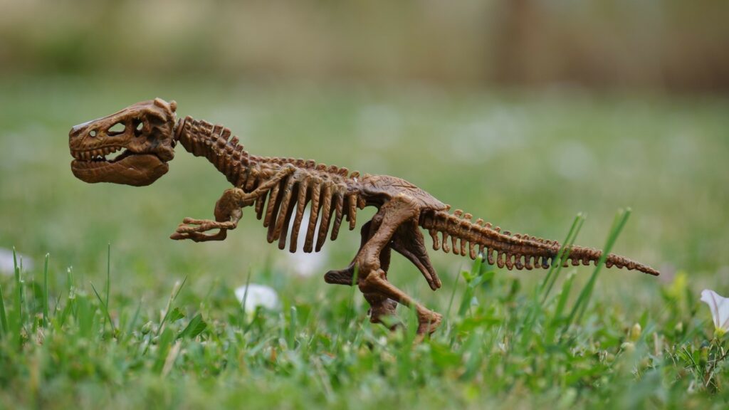 skeletal dinosaur figure in the grass