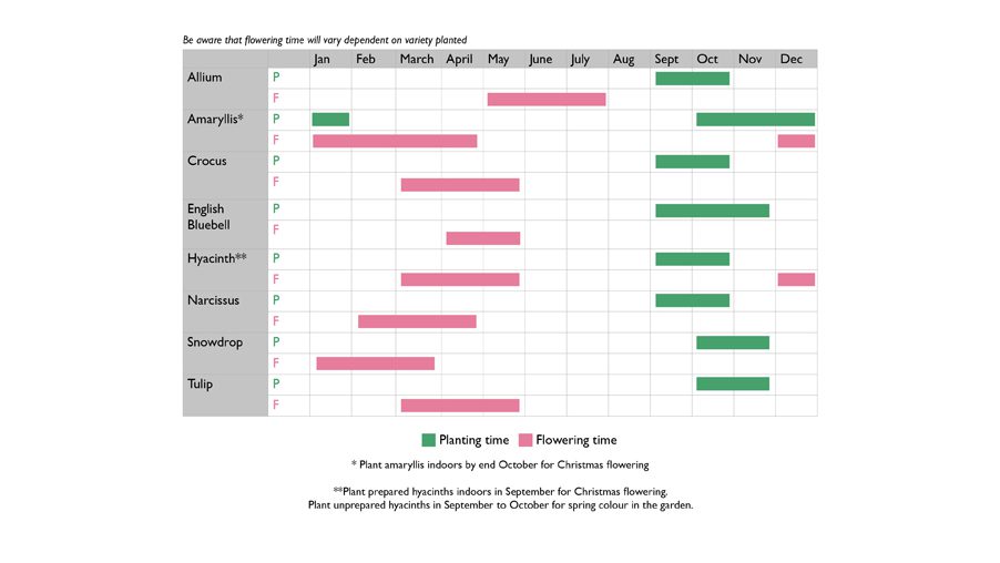 Autumn Bulb Calendar planting flowering landscape