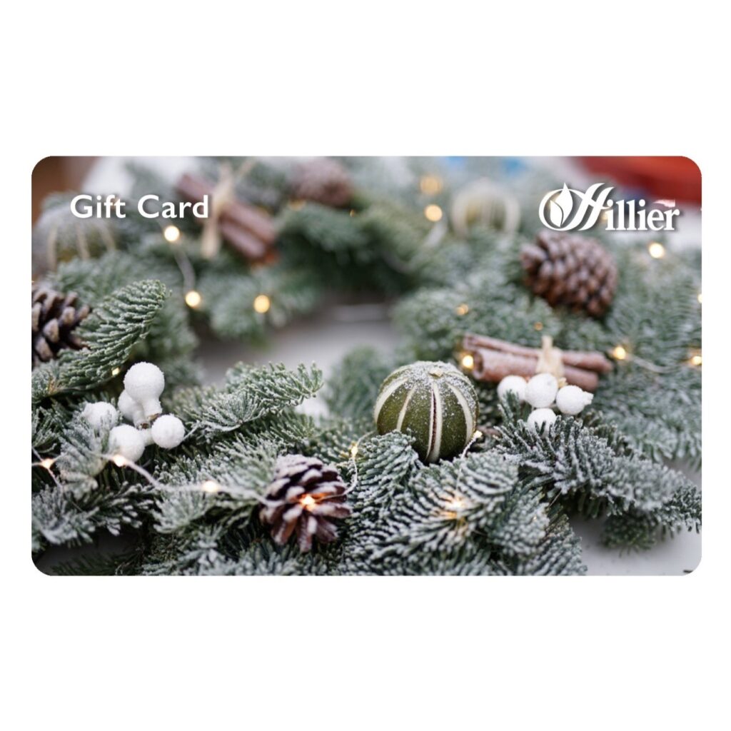 Hillier Gift Card – Garland 00360508