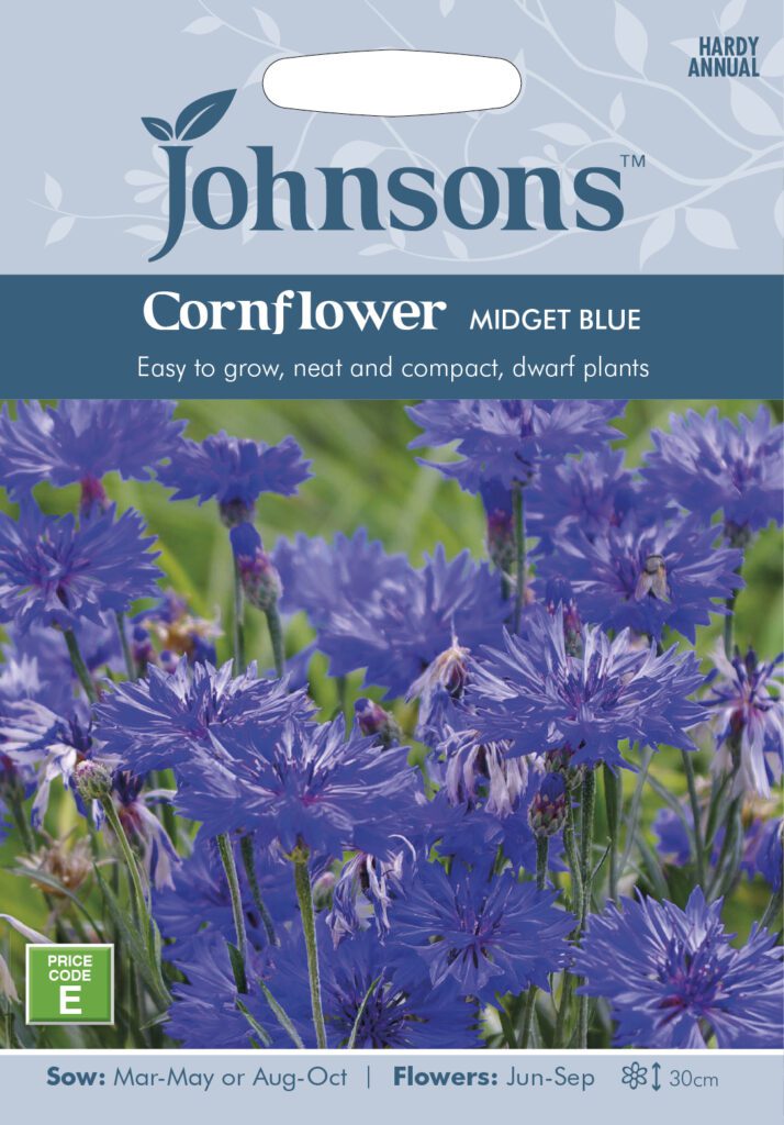 Johnsons Cornflower Midget Blue Seeds 5010931003976