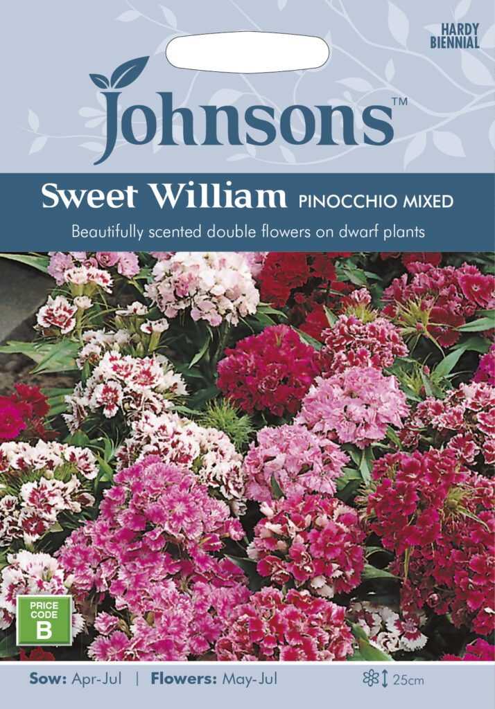 Johnsons Sweet William Pinocchio Mixed Seeds 5010931004720
