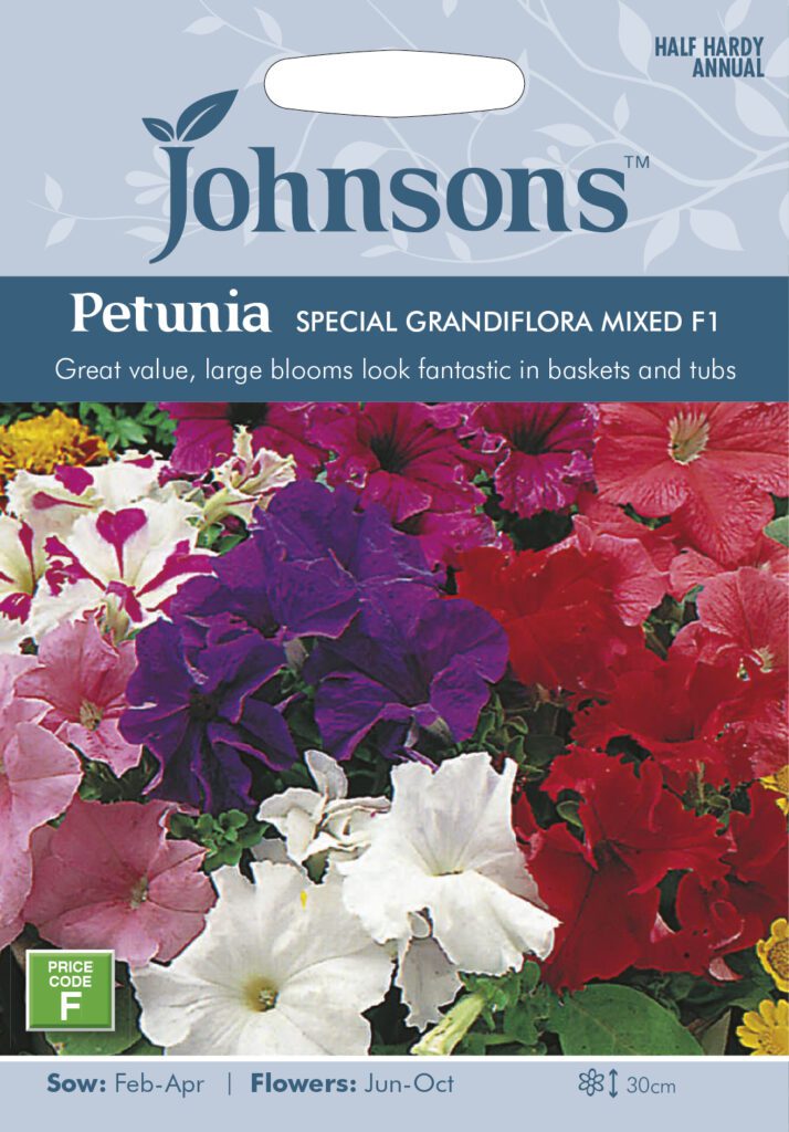 Johnsons Petunia Special Grandiflora Mix Seeds 5010931004775