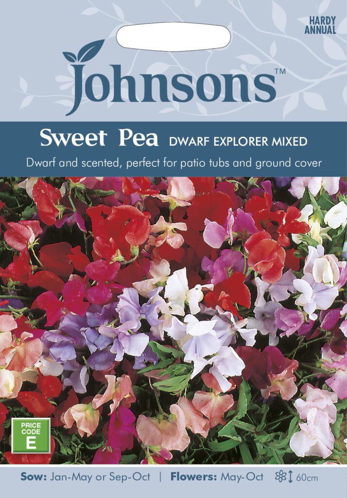 Johnsons Sweet Pea Dwarf Explorer Mixed Seeds 5010931004843