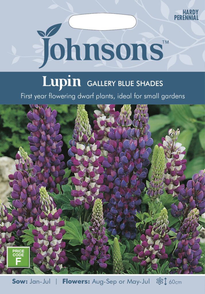 Johnsons Lupin Gallery Blue Shades Seeds 5010931004959