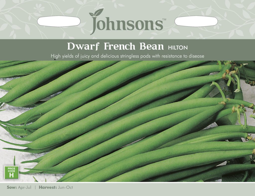 Johnsons Dwarf French Bean Hilton Seeds 5010931005451