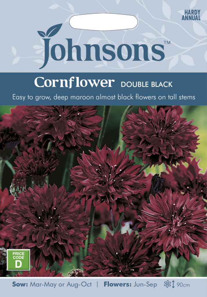 Johnsons Cornflower Double Black Seeds 5010931005574