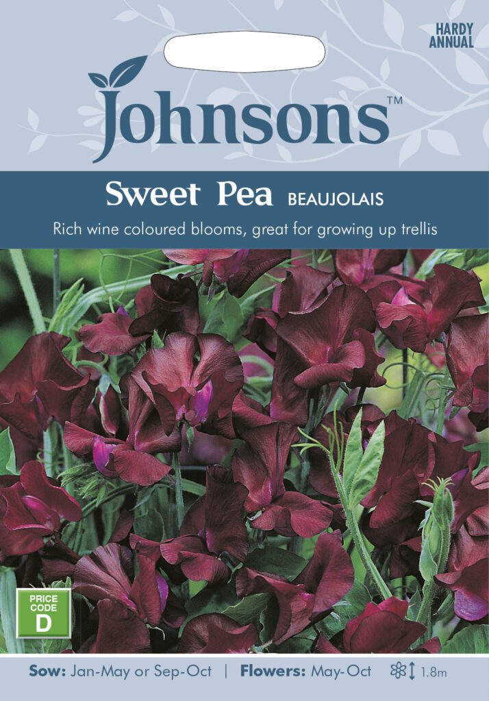 Johnsons Sweet Pea Beaujolais Seeds 5010931005994