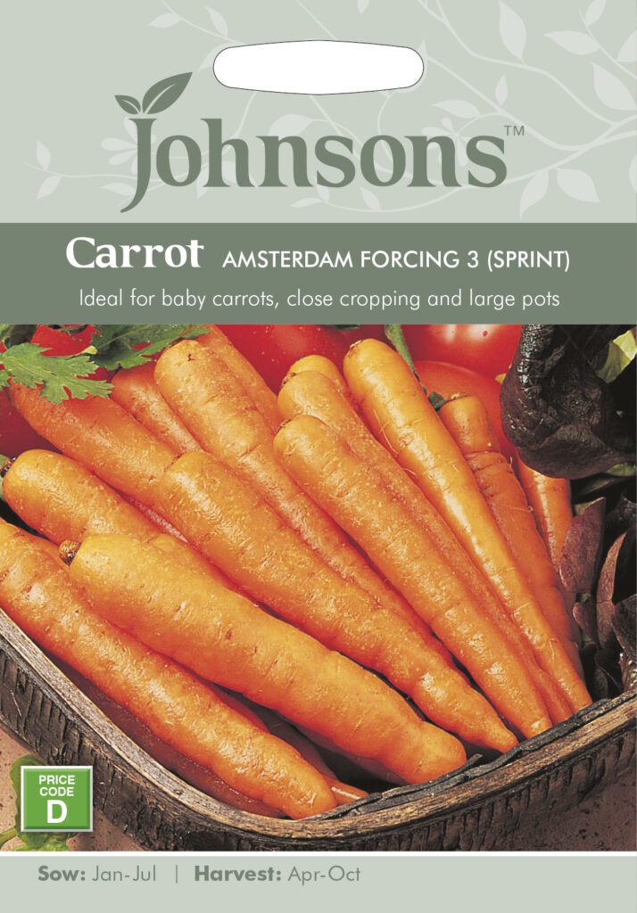 Johnsons Carrot Amsterdam Forcing (Sprint) Seeds 5010931006106