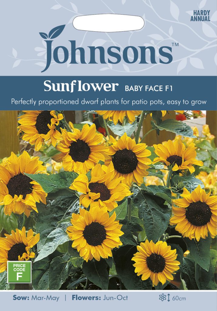 Johnsons Sunflower Baby Face Seeds 5010931006120