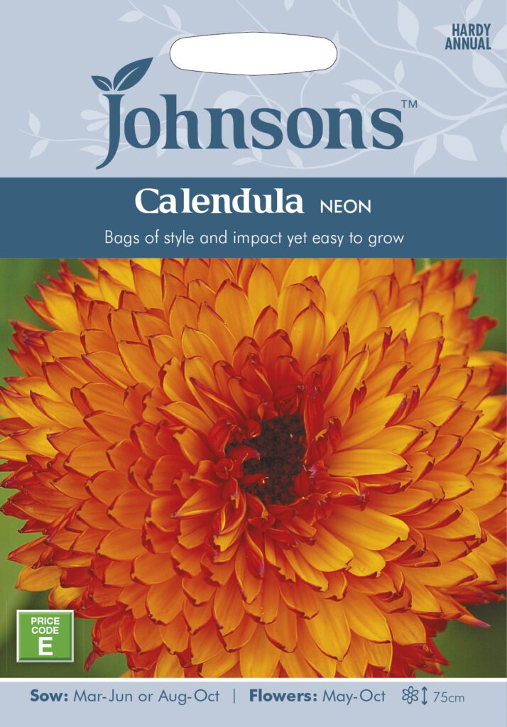 Johnsons Calendula Neon Seeds 5010931007035