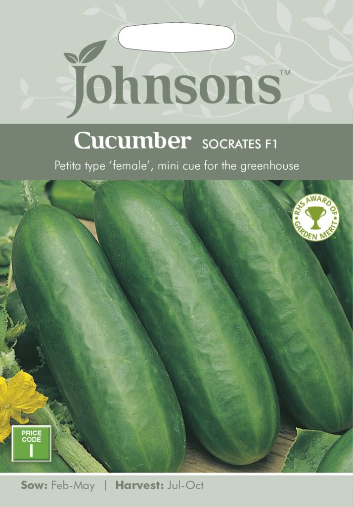 Johnsons Cucumber Socrates F1 Seeds 5010931008704