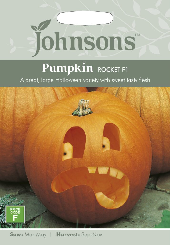 Johnsons Pumpkin Rocket F1 Seeds 5010931008889