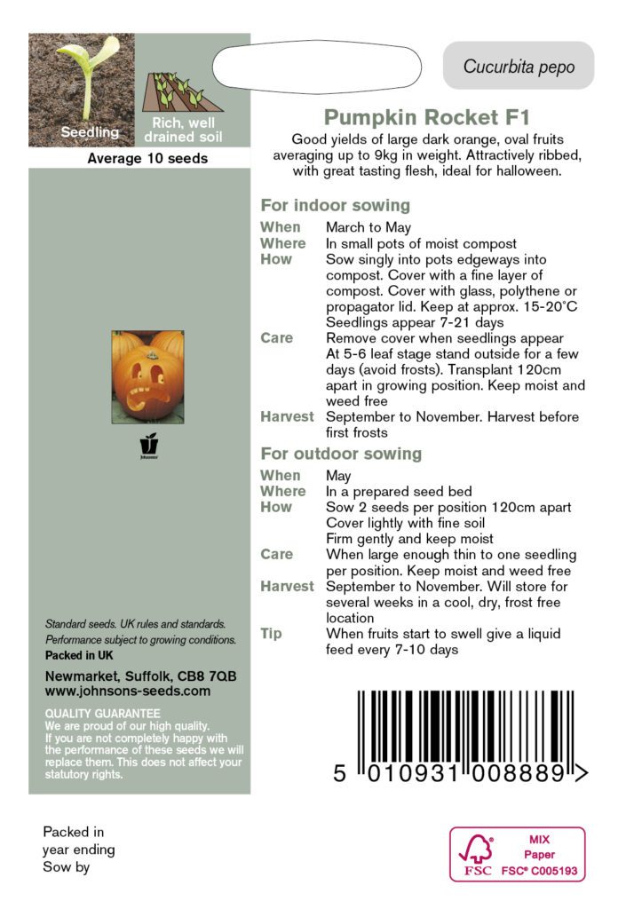 Johnsons Pumpkin Rocket F1 Seeds 5010931008889