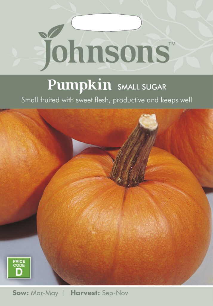 Johnsons Pumpkin Small Sugar Seeds 5010931008919