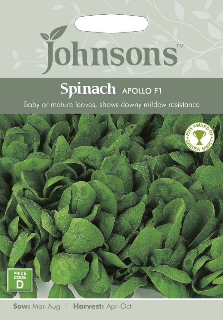 Johnsons Spinach Apollo F1 Seeds 5010931008933