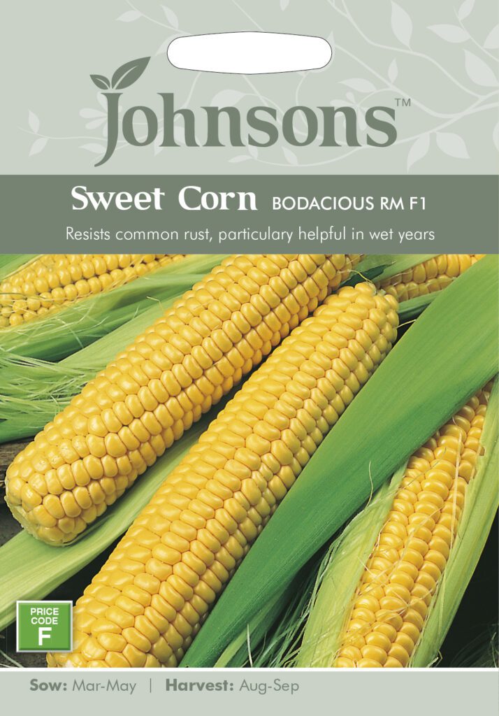 Johnsons Sweet Corn Bodacious Rm F1 Seeds 5010931008995