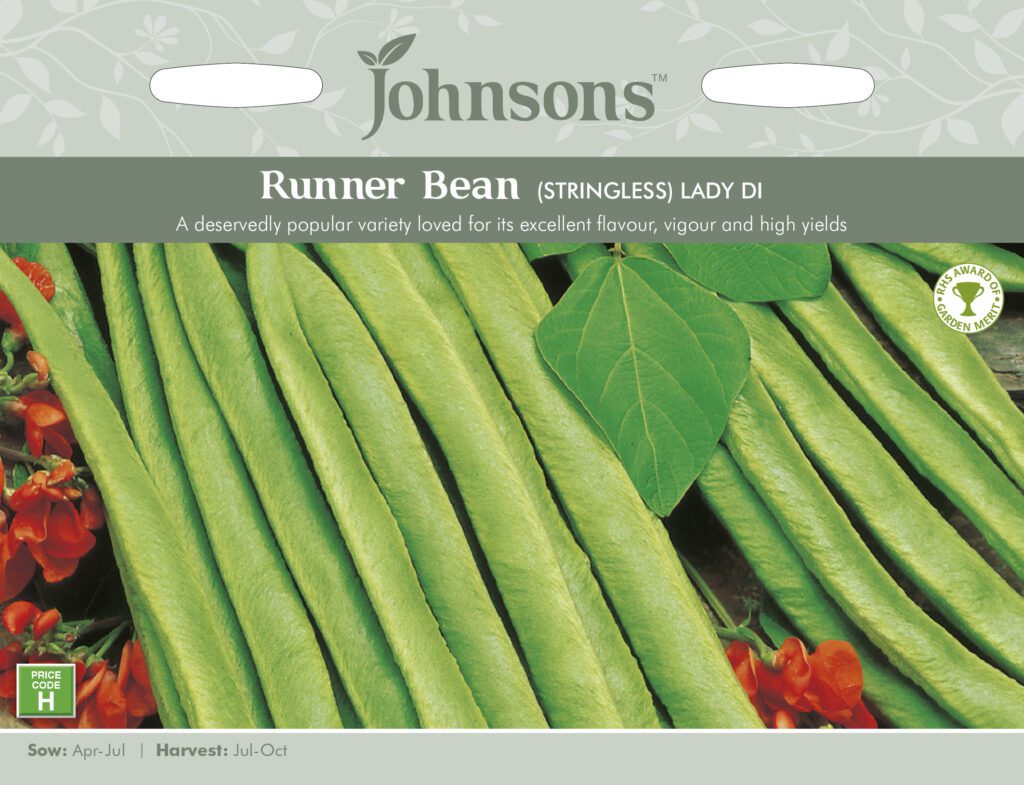 Johnsons Runner Bean Lady Di (Stringless) Seeds 5010931009169