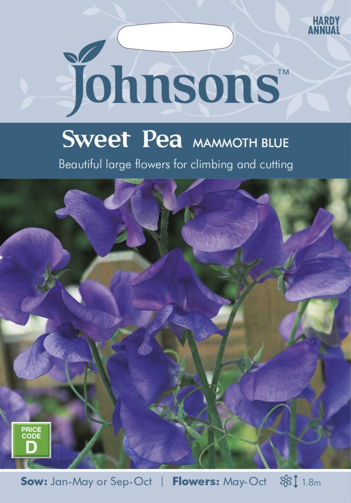Johnsons Sweet Pea Mammoth Blue Seeds 5010931009435