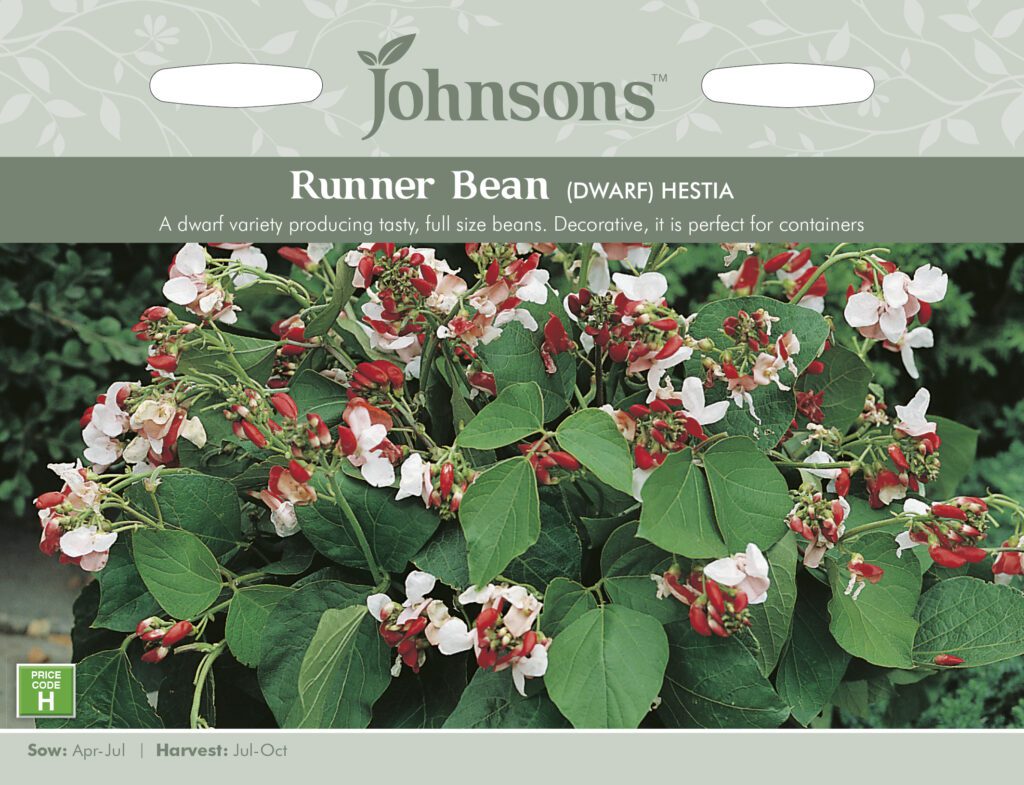 Johnsons Runner Bean Hestia Seeds 5010931101337