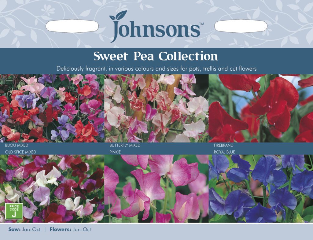 Johnsons Sweet Pea Collection Seeds 5010931101429