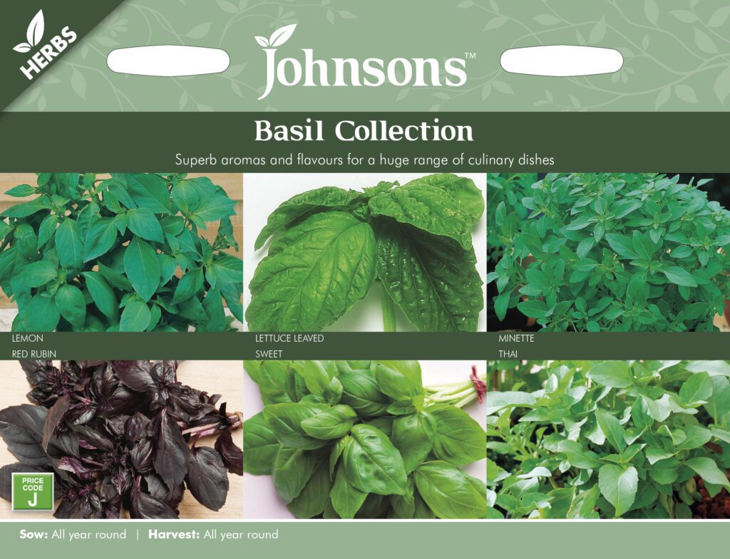 Johnsons Basil Collection Seeds 5010931101504