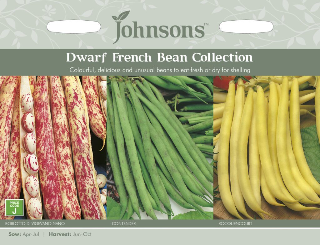 Johnsons Dwarf French Bean Collection Seeds 5010931101535