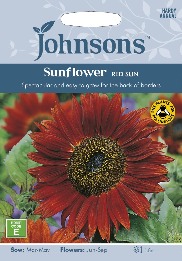 Johnsons Sunflower Red Sun Seeds 5010931101856