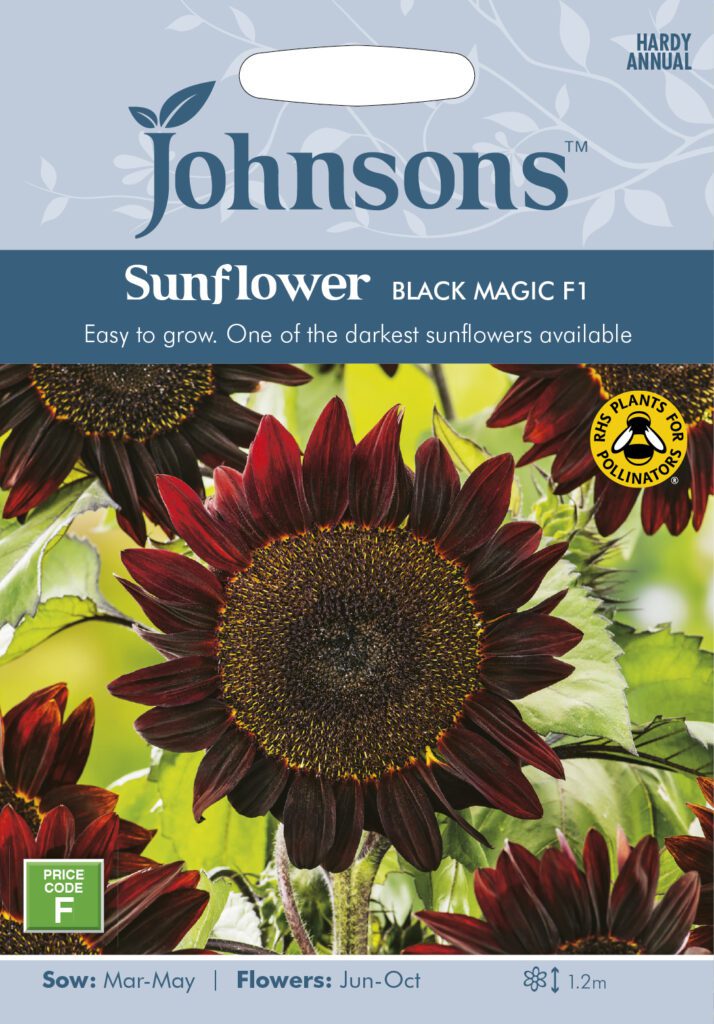 Johnsons Sunflower Black Magic Seeds 5010931107384