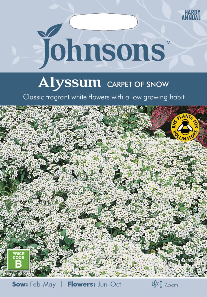 Johnsons Alyssum Carpet Of Snow Seeds 5010931110100