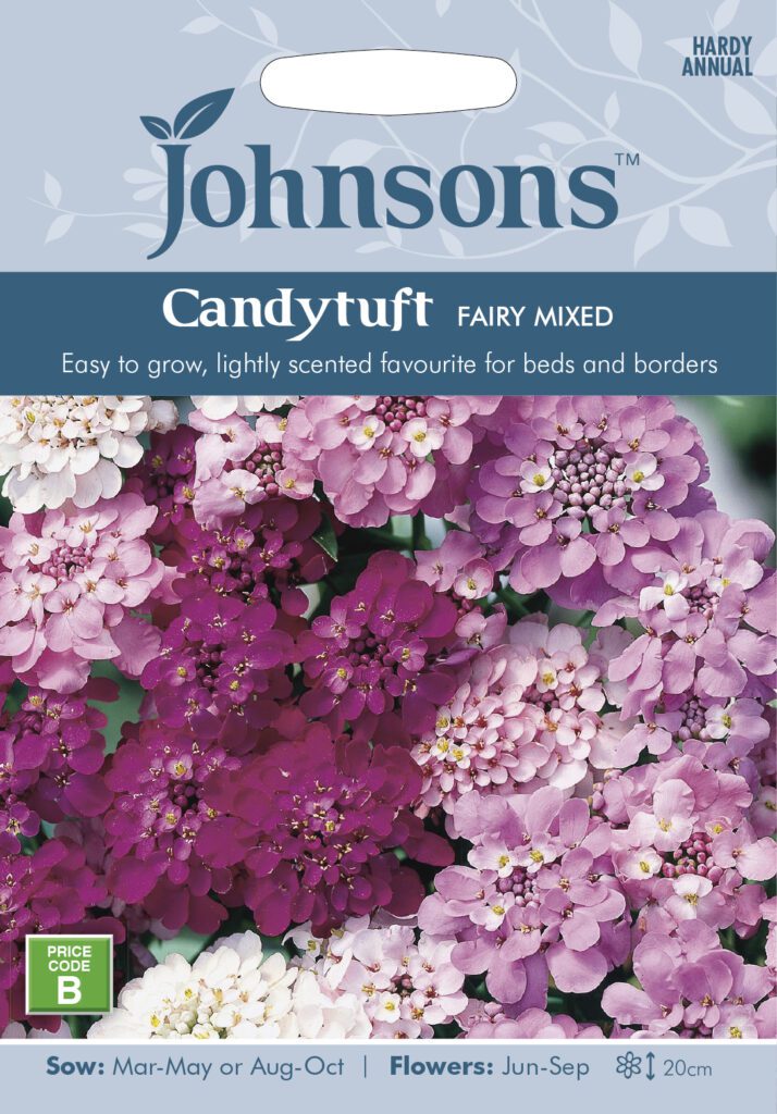 Johnsons Candytuft Fairy Mixed Seeds 5010931110902